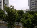 Blk 126 Bishan Street 12 (Bishan), HDB 5 Rooms #480622